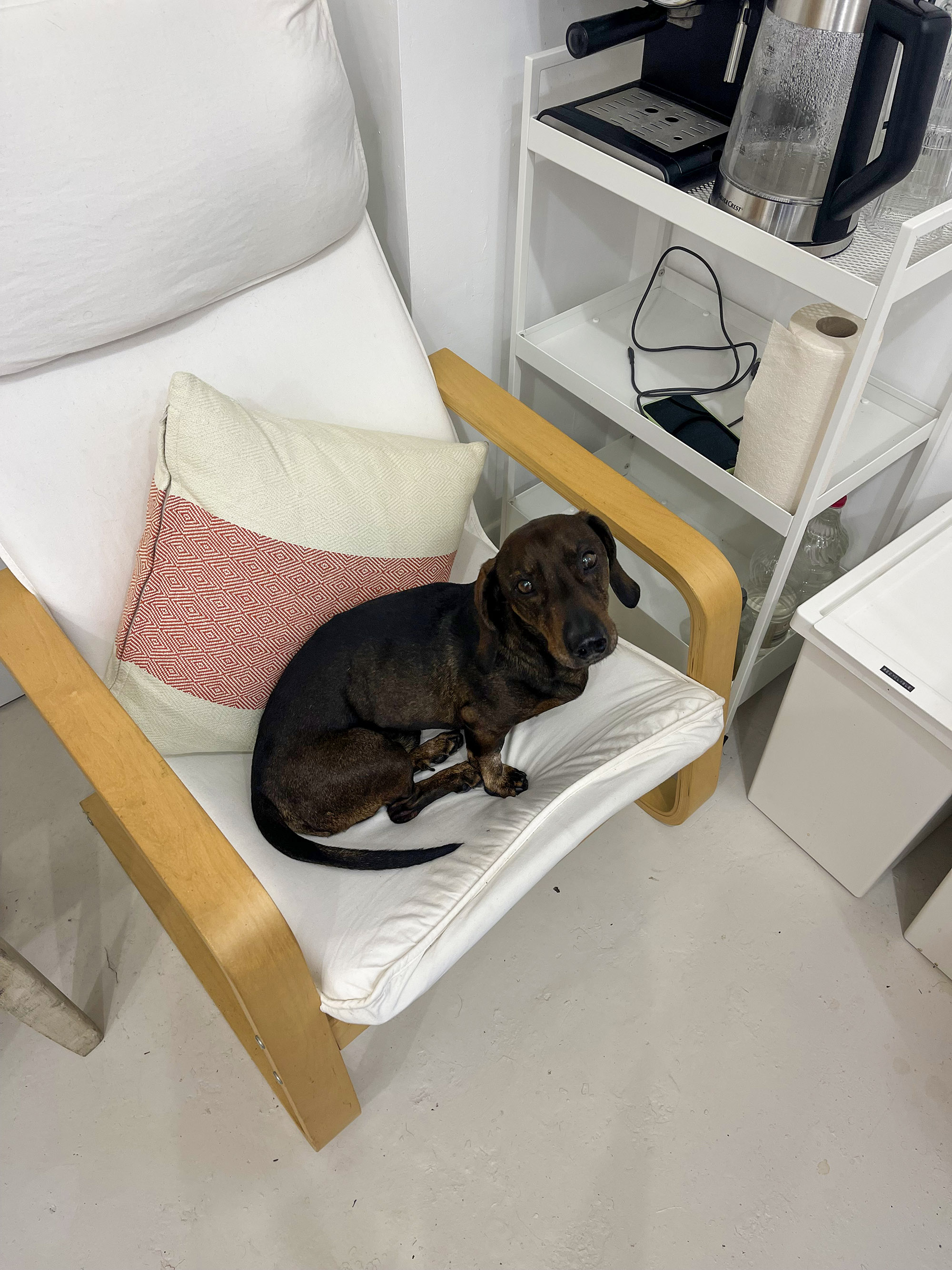 atelier de ceramique 1.jpeg